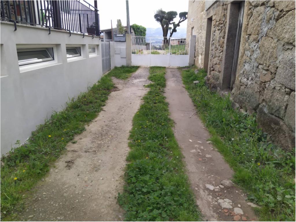 Antes
